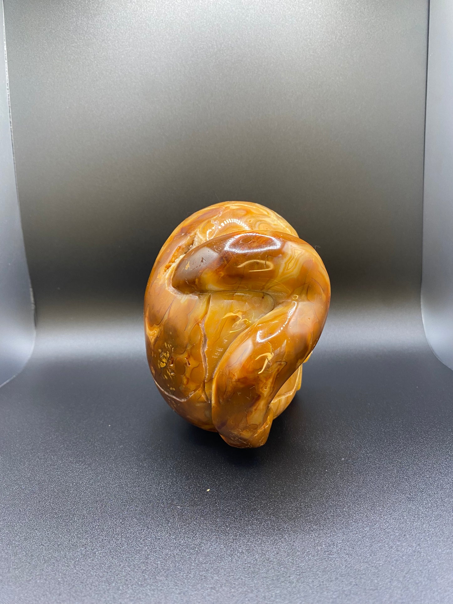 One Of A Kind Fiery Orange Mexican Lace Agate Skull With A Snake | 3.87 lb Large Crystal |