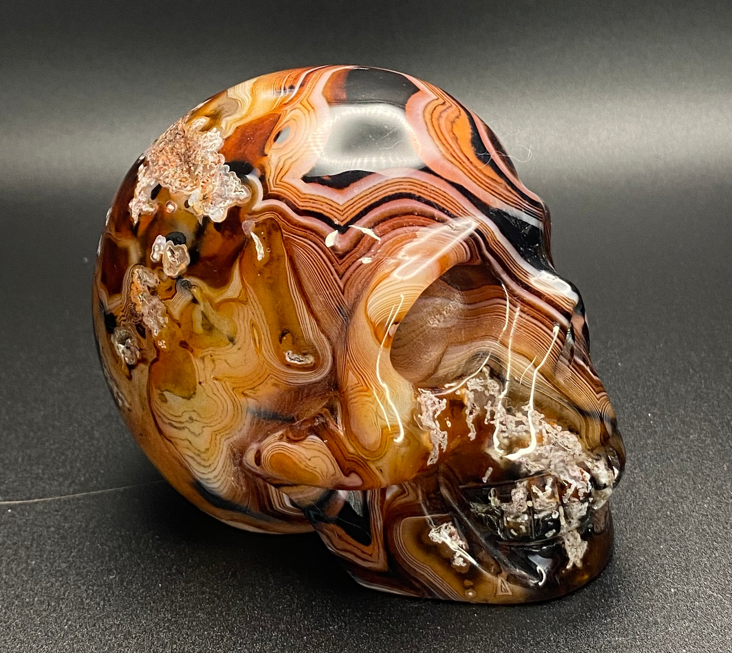 Sun Onyx Skull | Crystal Skull 1.61 lb |
