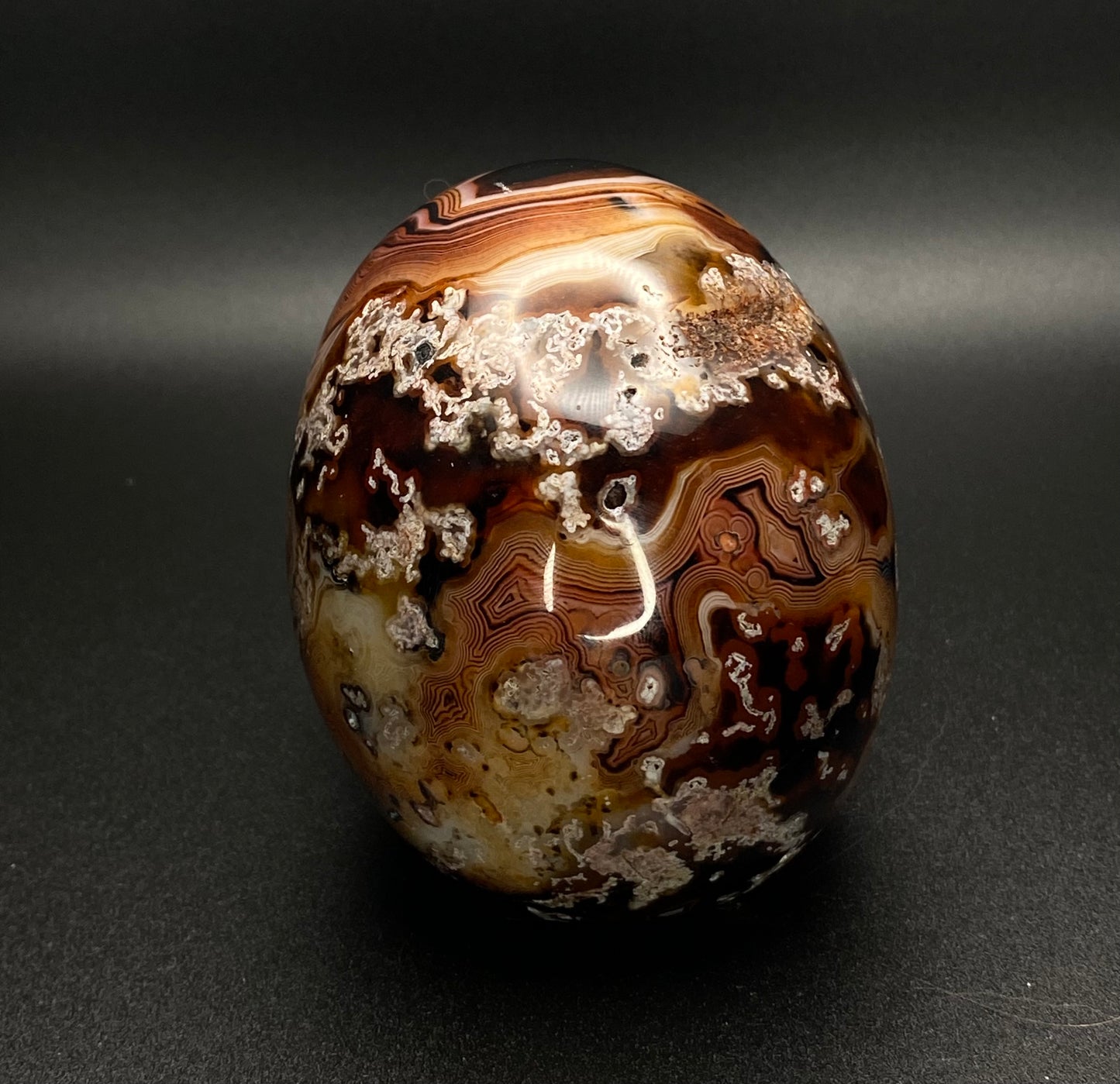 Sun Onyx Skull | Crystal Skull 1.61 lb |