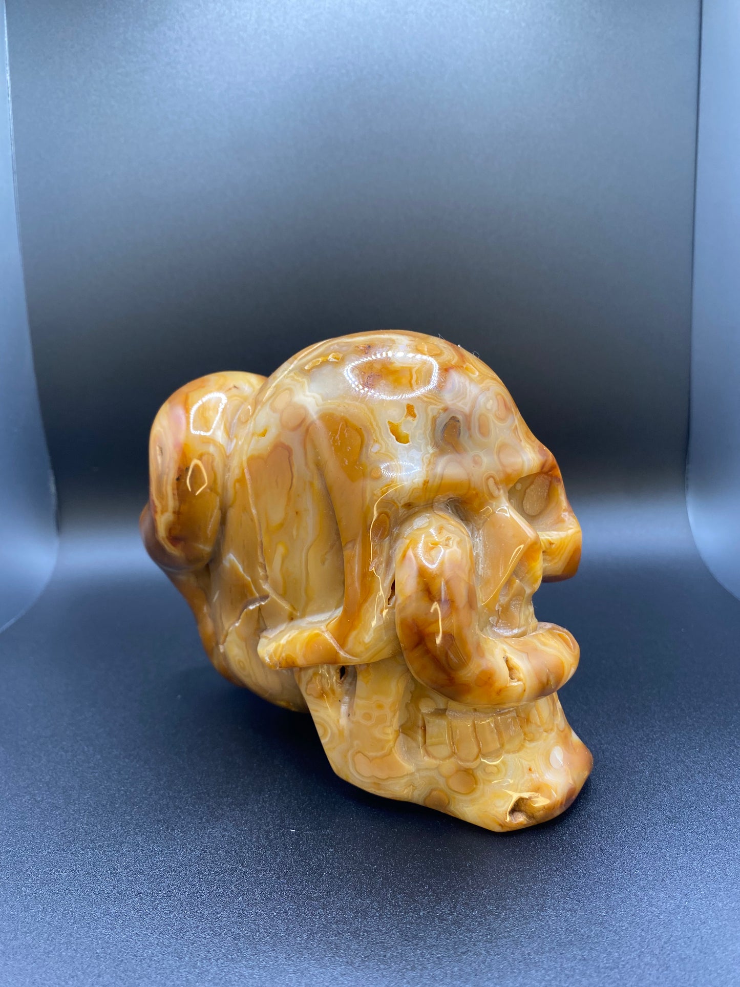 One Of A Kind Fiery Orange Mexican Lace Agate Skull With A Snake | 3.87 lb Large Crystal |