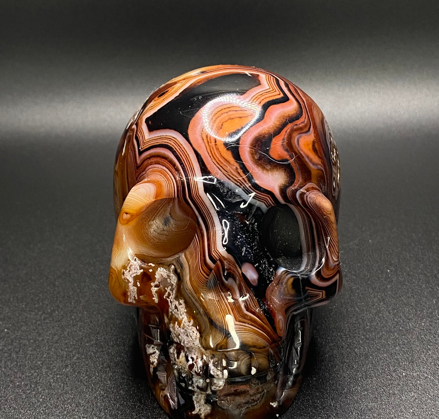 Sun Onyx Skull | Crystal Skull 1.61 lb |