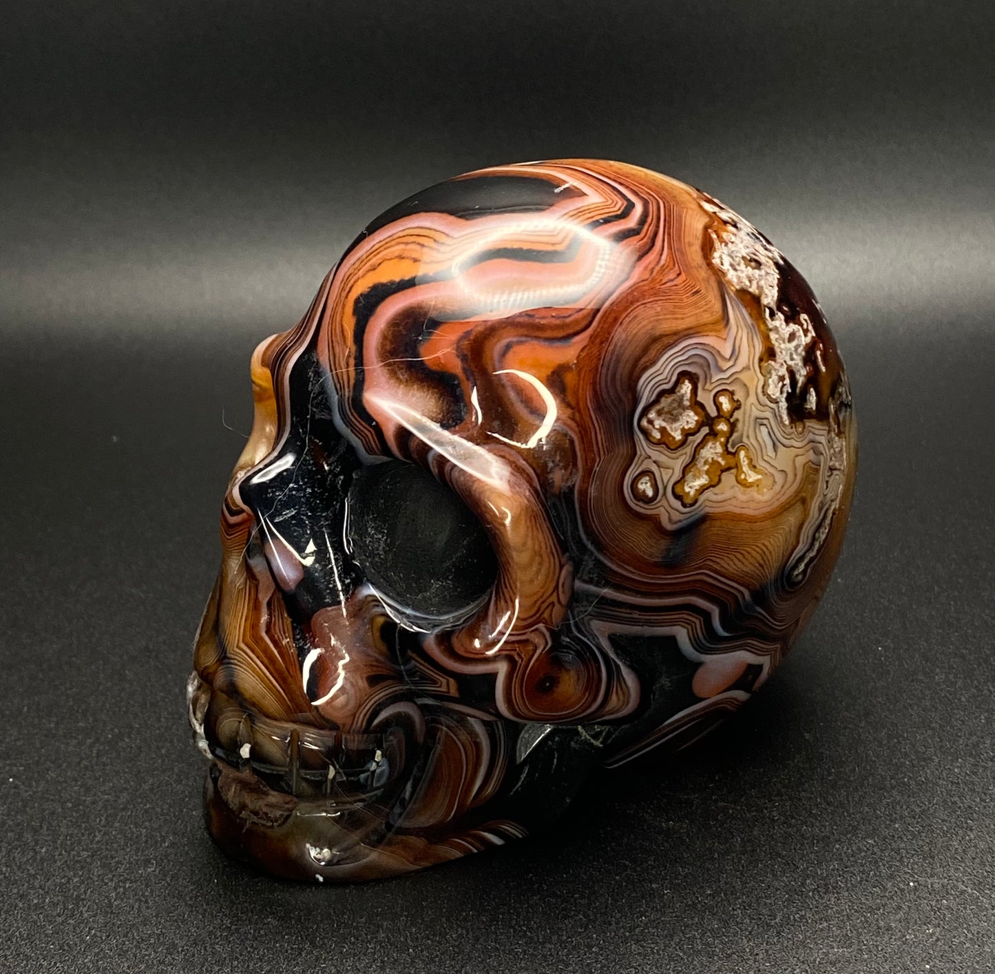 Sun Onyx Skull | Crystal Skull 1.61 lb |