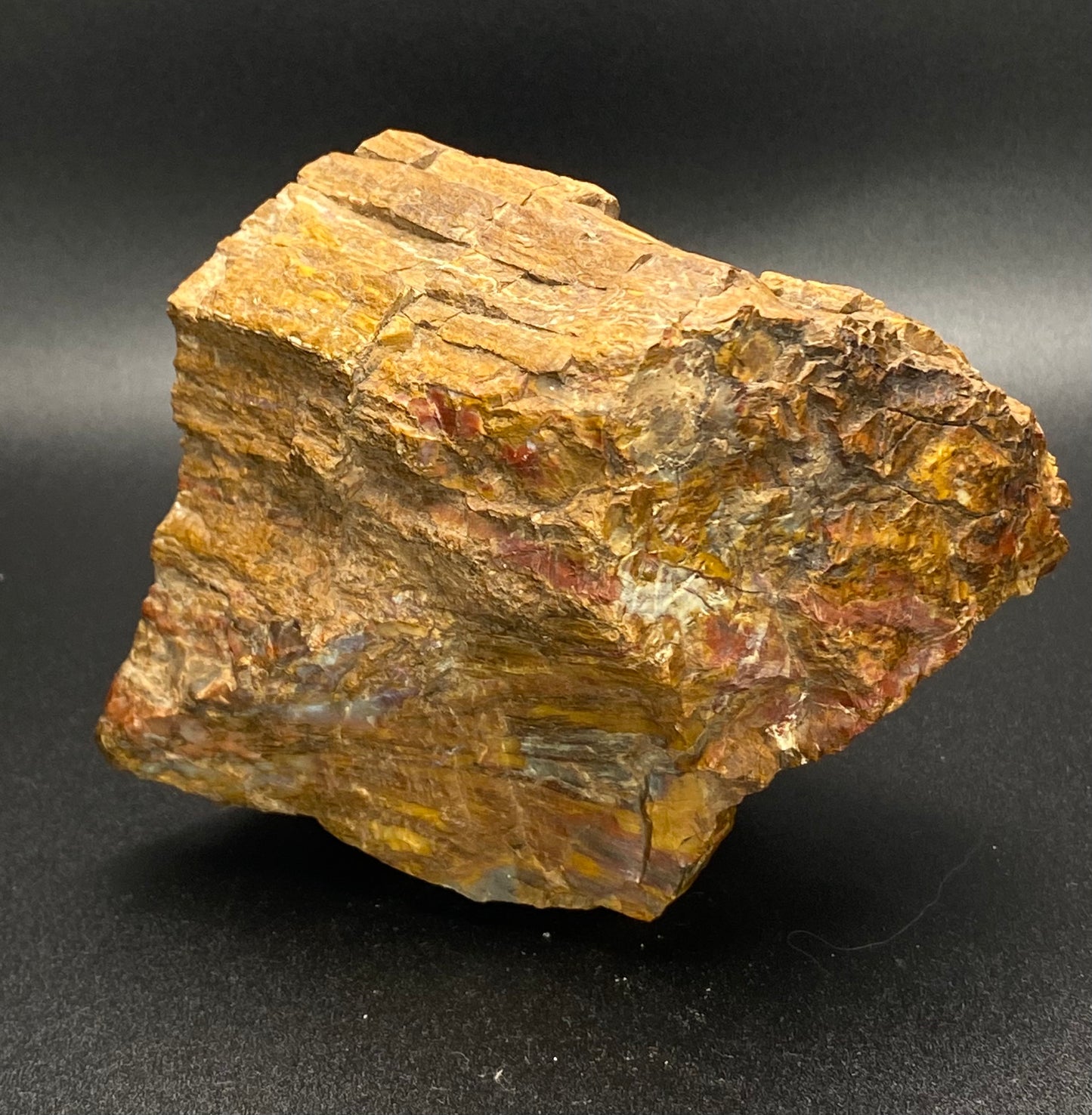 Petrified Wood Freeform | 1.39 lb Fossilized Wood with Fiery Orange & Red |