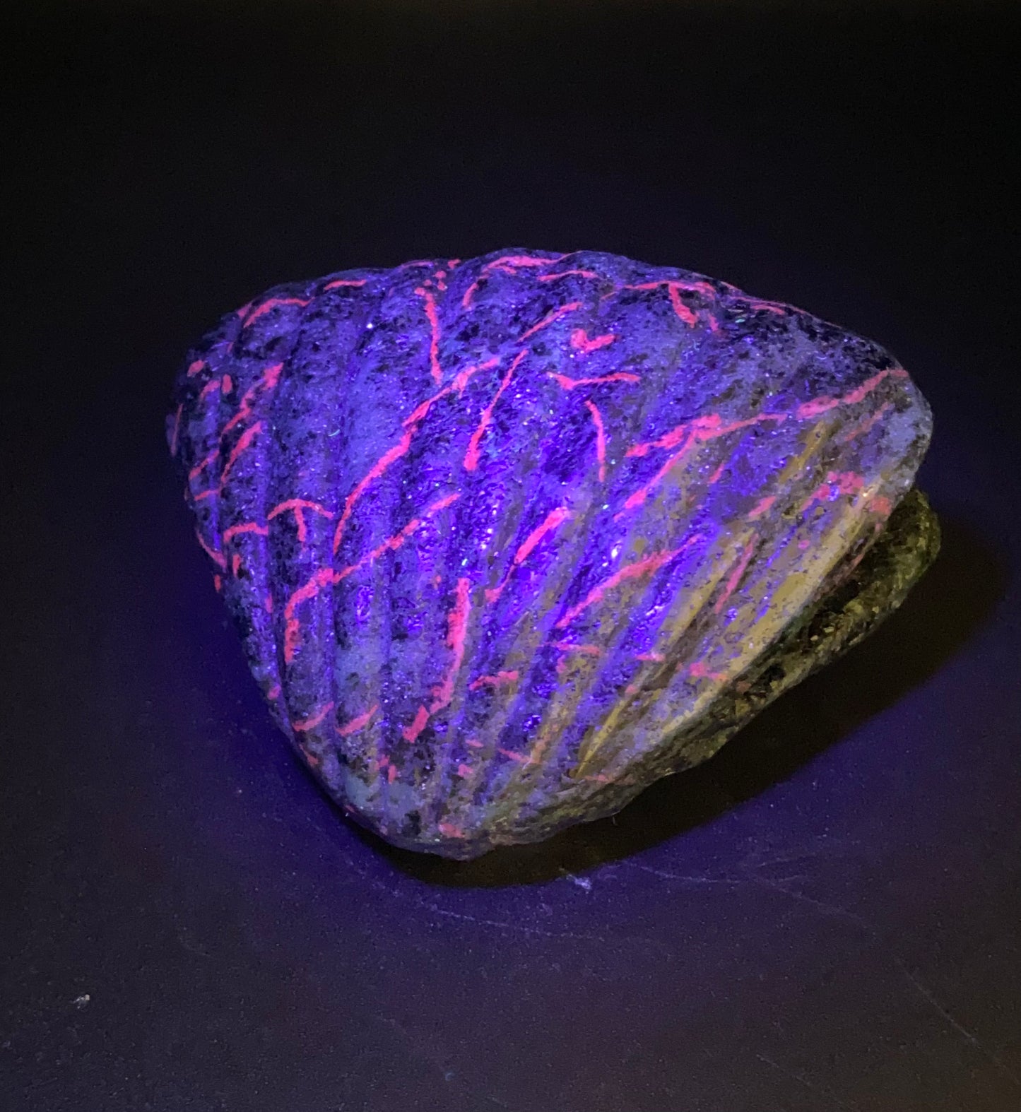 Ruby Zoisite Clam Shell Carving | 0.56 lb Polished Crystal