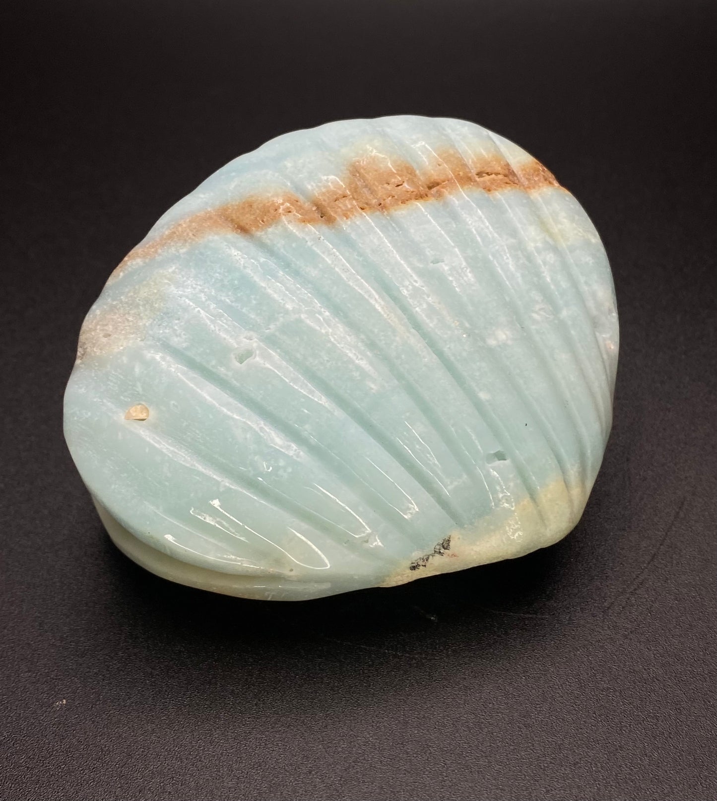 Caribbean Calcite Clam Shell Carving | 0.5 lb Polished Crystal |